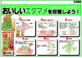 エダマメの育て方○.jpg