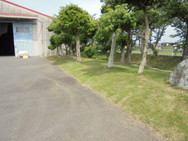 DSC00098.JPG