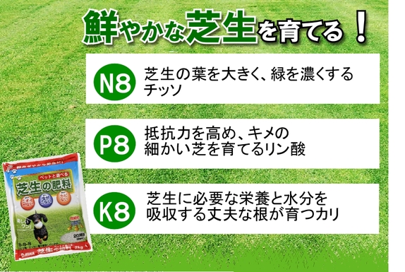 芝生の肥料　AA.jpg