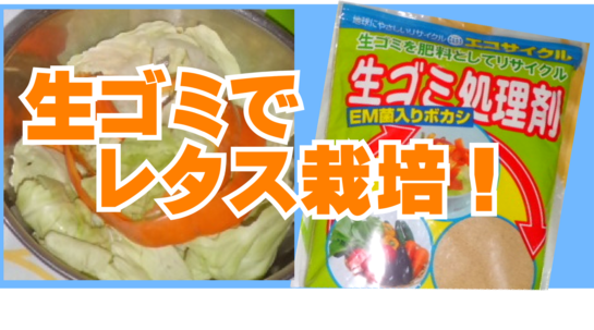 生ゴミでレタス栽培！.png