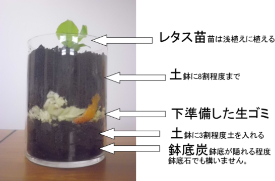 生ゴミで野菜栽培２.png