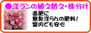 ６月の園芸作業洋らん植え替え.png