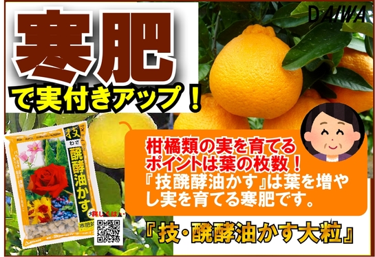 技・醗酵油かす 寒肥　B6x4.jpg