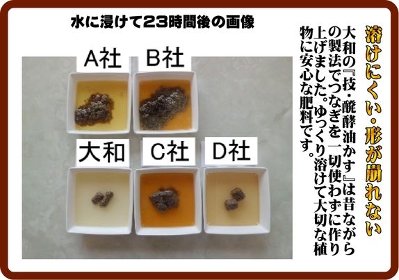 技醗酵油かす　崩壊試験.jpg