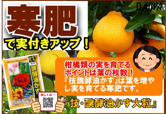 技・醗酵油かす 寒肥　B6x4.jpg