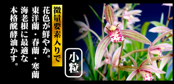 醗酵油かす小粒