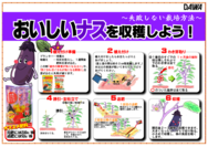 なすの育て方