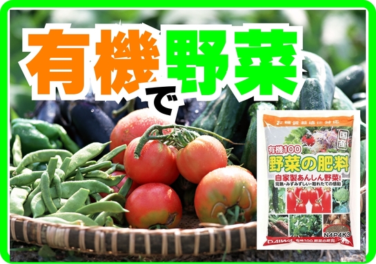 有機100野菜の肥料　B6x4　HP.jpg
