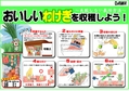 ③