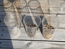 IMG_3324.JPG