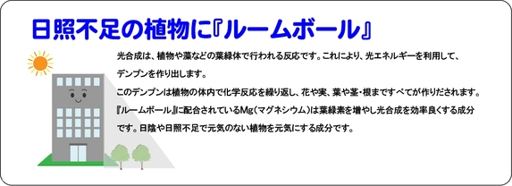 日照不足の植物にルームボール.jpg
