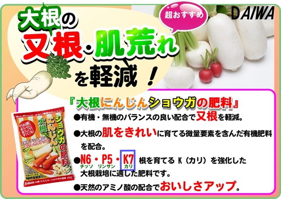 大根にんじんショウガの肥料　大根の又割れ　A4x2.jpg