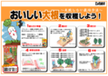 大根の育て方