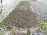 土づくり.jpg