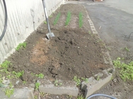 耕す２.jpg