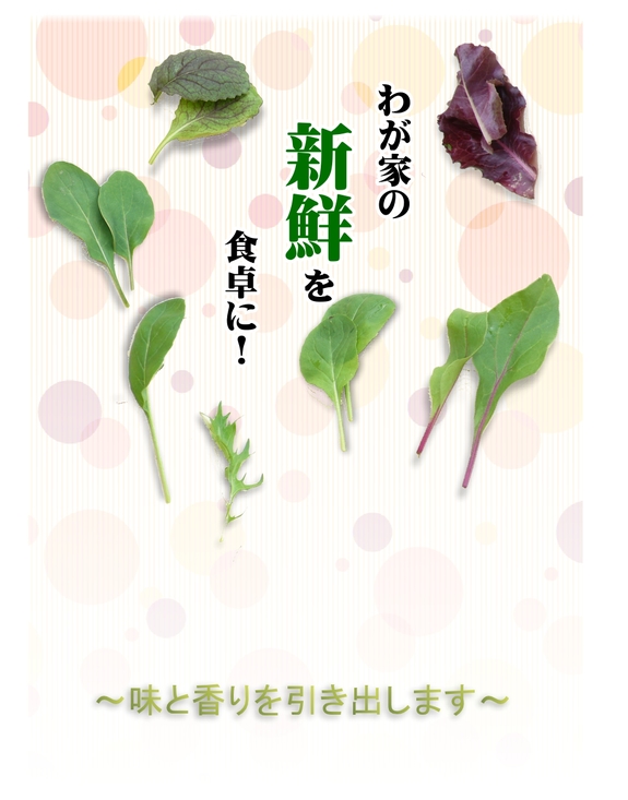 新鮮を食卓に！.jpg
