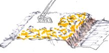 玉ねぎ1.jpg