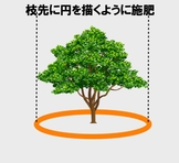 施肥方法.jpg