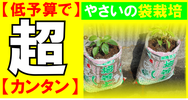 超カンタン　野菜の袋栽培.png