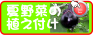 植え付け　夏野菜.png