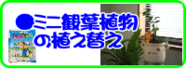 5月の園芸作業ミニ観葉の植え替え.png