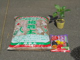 DSC00435.JPG