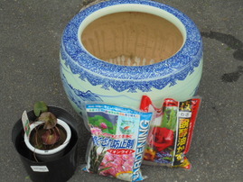 DSC00070.JPG