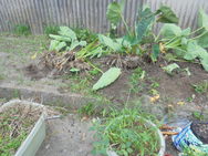 DSC00332.JPG
