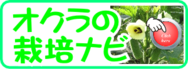 オクラの栽培ナビ.png