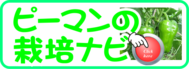 ピーマンの栽培ナビ.png
