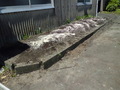 ⑷有機石灰、堆肥を土にスキき込む
