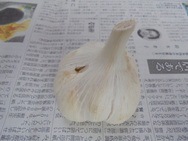 DSC00144.JPG