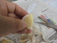 DSC00145.JPG