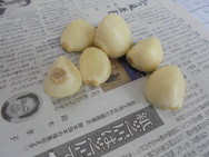 DSC00146.JPG