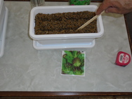 DSC00165.JPG