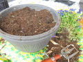 DSC00003.JPG