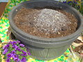 DSC00008.JPG