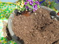 DSC00011.JPG