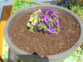 DSC00012.JPG