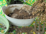 DSC00054.JPG