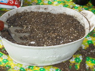DSC00063.JPG