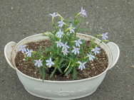 DSC00065.JPG