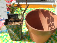 DSC00014.JPG