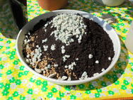 DSC00016.JPG