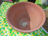 DSC00018.JPG