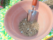 DSC00019.JPG