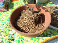 DSC00025.JPG