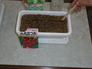 DSC00158.JPG