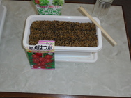 DSC00159.JPG