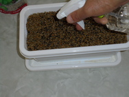 DSC00163.JPG